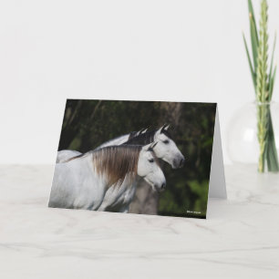 Carte Bob Langrish   Deux Andalous Ensemble