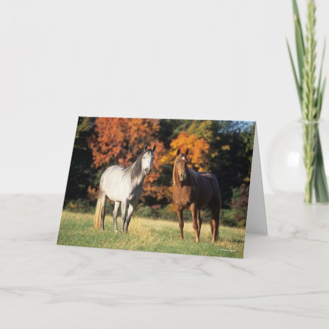 Carte Bob Langrish Deux Arabes se rassemblent sur le ter (Devant)