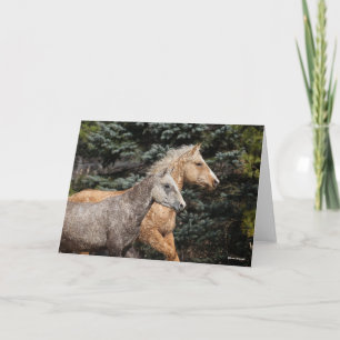 Carte Bob Langrish   Deux Chevaux De Courbe Bashkir Capt