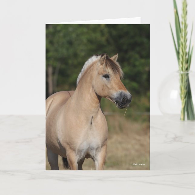 Carte Bob Langrish | Fjord Horse Standing Headshot (Devant)