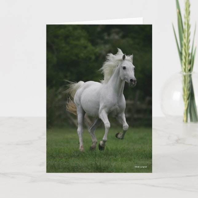Carte Bob Langrish | Gray Arab Running (Devant)