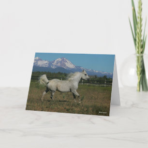 Carte Bob Langrish Grey Arrière - plan arabe de la monta