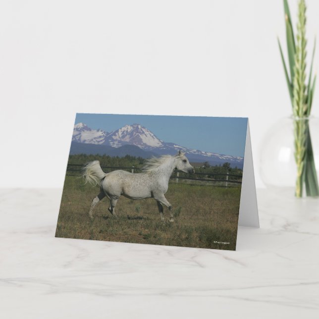 Carte Bob Langrish Grey Arrière - plan arabe de la monta (Devant)