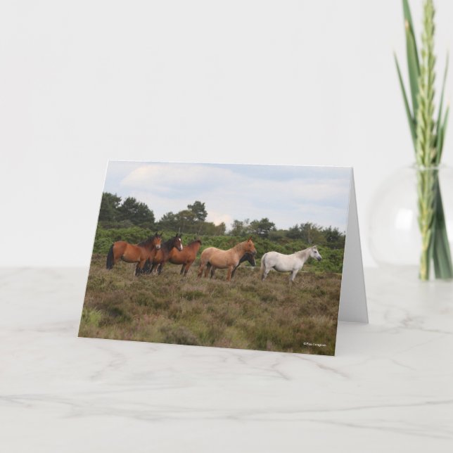 Carte Bob Langrish | Herd New Forest Poney debout (Devant)