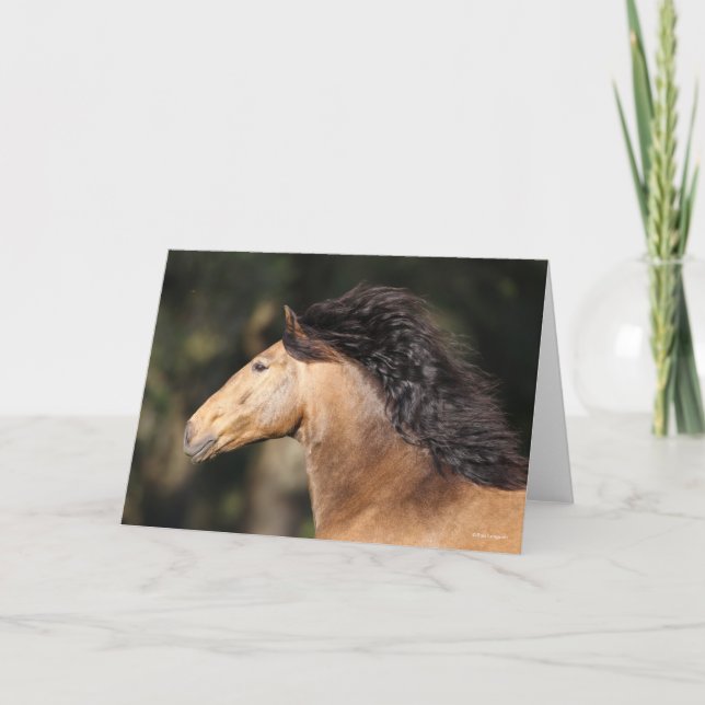 Carte Bob Langrish | Lusitano Capture d'écran Mane Flow (Devant)