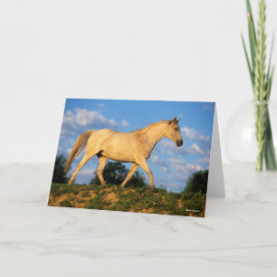 Carte Bob Langrish   Marche arabe grise