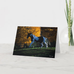 Carte Bob Langrish   Paint Horse Runn Automne