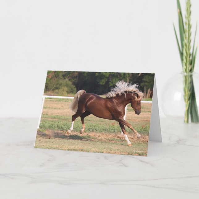 Carte Bob Langrish | Palomino Morgan Horse Bucking (Devant)