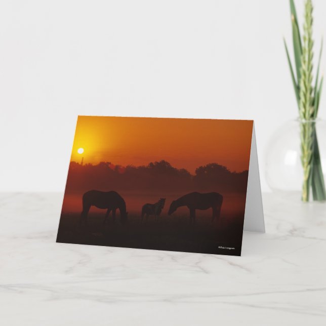 Carte Bob Langrish | Pâturage à trois chevaux au coucher (Devant)