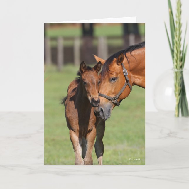 Carte Bob Langrish Quarter Cheval Mare et Foal Cuddin (Devant)