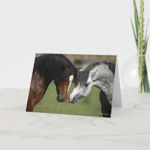 Carte Bob Langrish   Réunion des Poney de Bay et Grey We