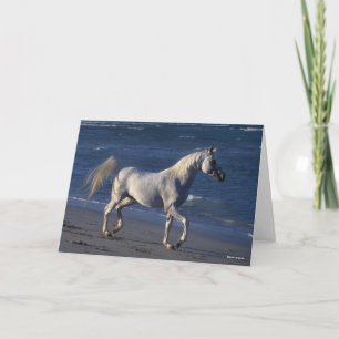 Carte Bob Langrish   Stallion Arabe Gris Marchant Sur La