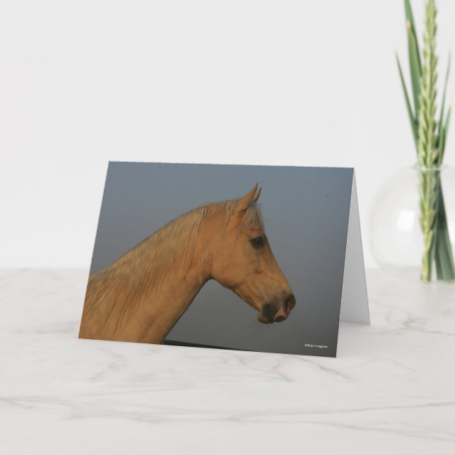 Carte Bob Langrish | Tennessee Walker Misty Headshot (Devant)
