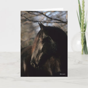 Carte Bob Langrish   Tennessee Walker noir