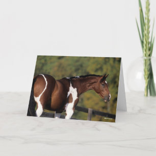 Carte Bob Langrish Tête de tête Pinto Warmblood Standi