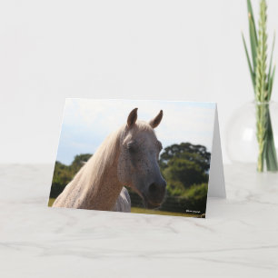 Carte Bob Langrish   Tête d'écran gris arabe Stallion ré