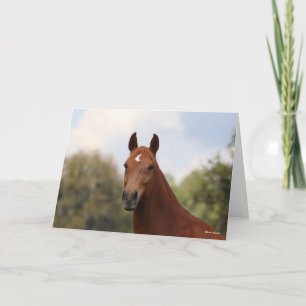 Carte Bob Langrish   Tirage de châtaignier Oldenburg