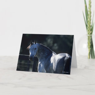 Carte Bob Langrish   Tirage de tête arabe gris-pomme rét