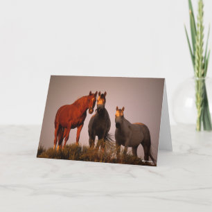 Carte Bob Langrish Trois Arabes debout au coucher du s