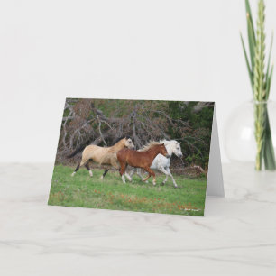Carte Bob Langrish Trois Poney Courent Ensemble