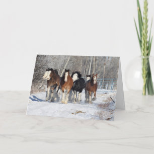 Carte Bob Langrish   Troupeau De Clydesdales En Neige