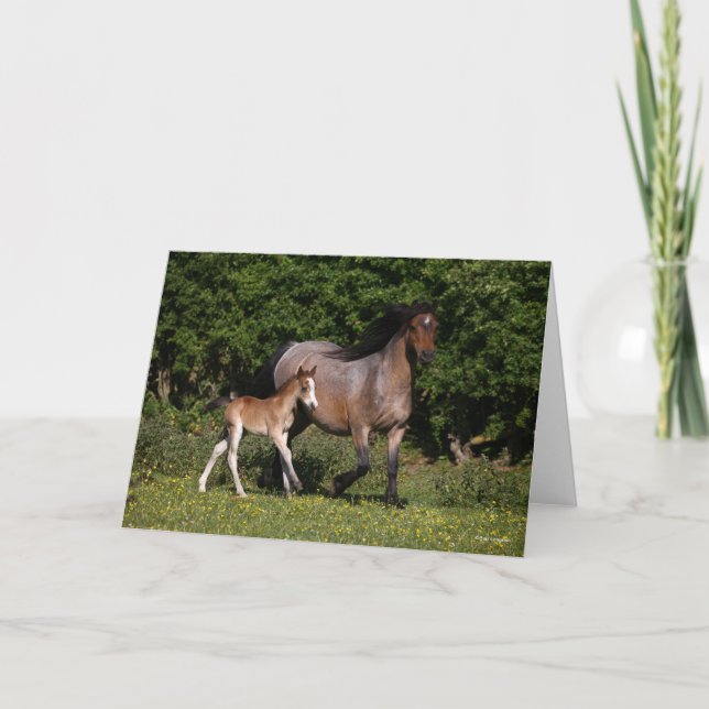 Carte Bob Langrish | Welsh Pony Mare and Foal Running (Devant)
