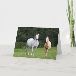 Carte Bob Langrish   Welsh Pony Mare et Foie