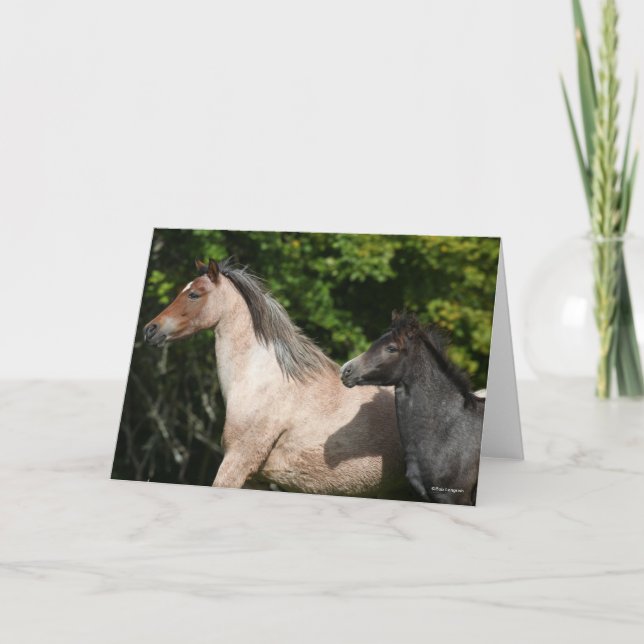 Carte Bob Langrish | Welsh Pony Mare et Foie Headshot (Devant)