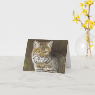 Carte Bobcat