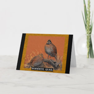 Carte Bobwhite Quail (Géorgie, Missouri et Tennessee)