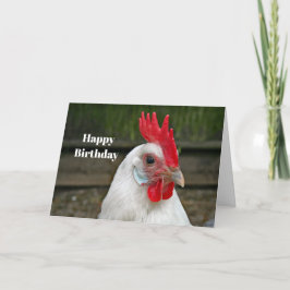 Carte Boeuf à tête blanche - photo Anniversaire