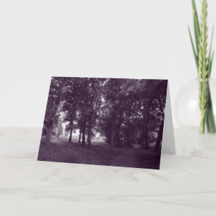 Carte Bois, Bute Park Cardiff - BW violet