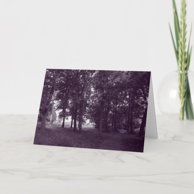 Carte Bois, Bute Park Cardiff - BW violet (Devant)