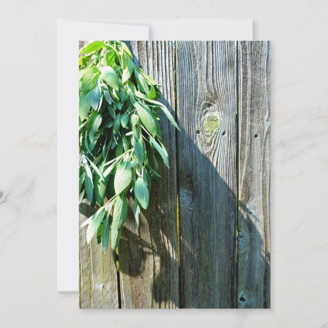 Carte Bois de Grange frais coupé (Devant)