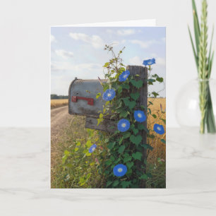 Carte Boîte aux lettres "Thinking of You" avec des volub