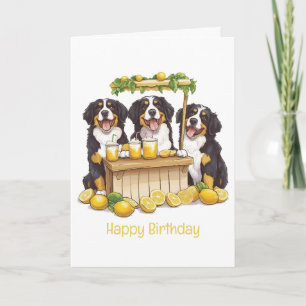 Carte Bon anniversaire Bernese Mountain Dog Lemonade Sta