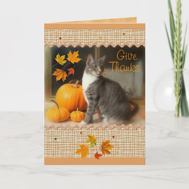 Carte bon thanksgiving avec Chat et Citrouille (Devant)