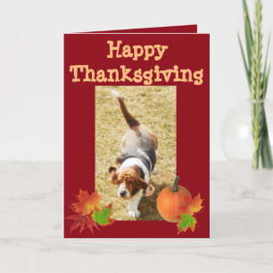 Carte "Bon thanksgiving" Basset Hound avec Citroui