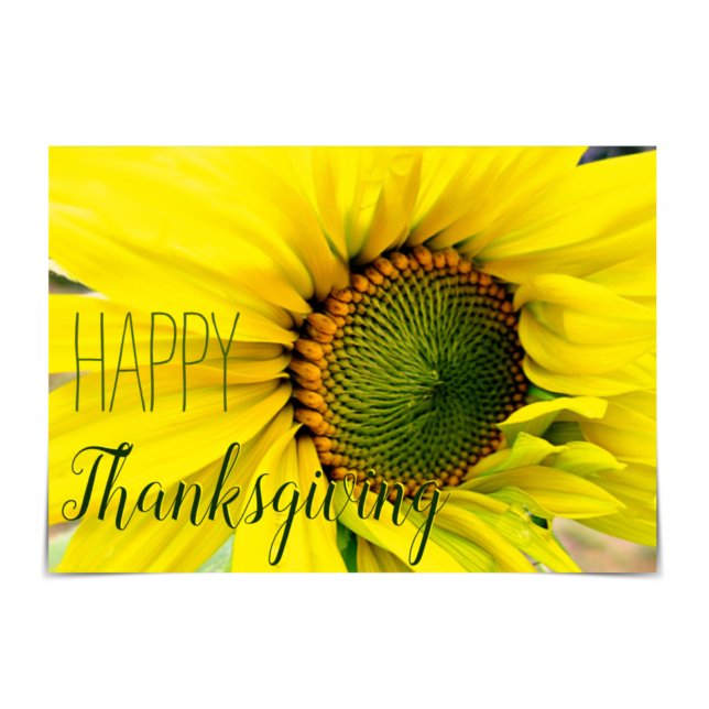 Carte "Bon thanksgiving" Sunflower Friend (Créateur téléchargé)