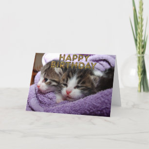 Carte Bonbons chattes endormies
