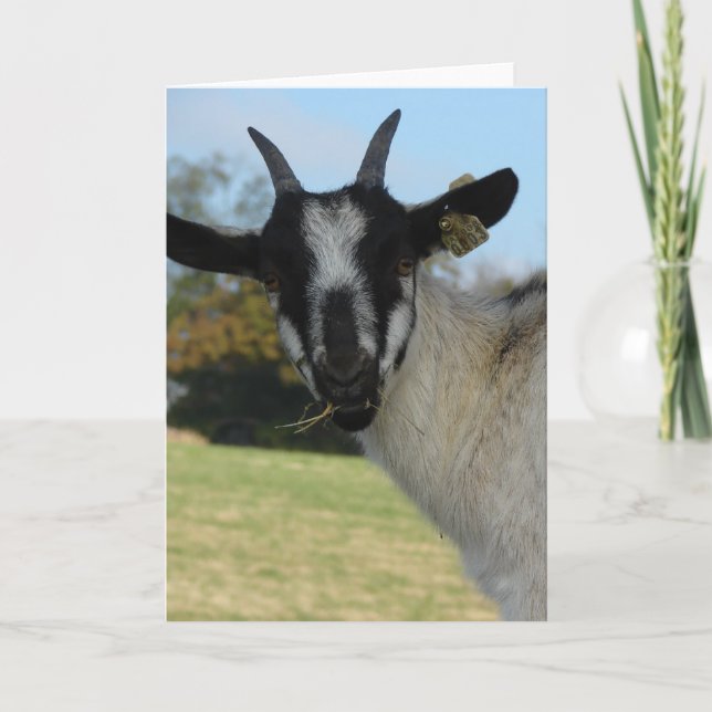 Carte Bonjour, (Devant)