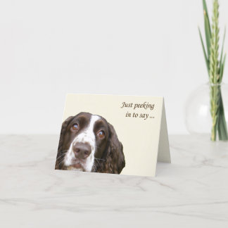 Carte Bonjour Anglais Springer Spaniel Card