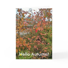 Bonjour automne