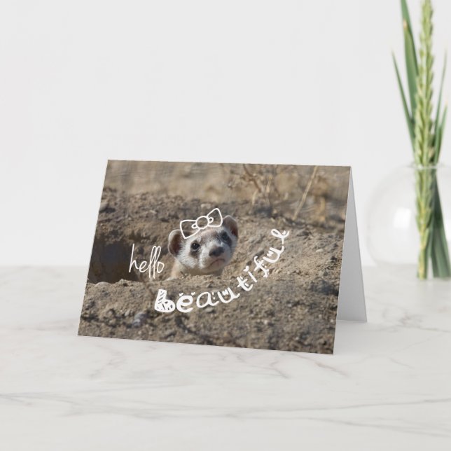 Carte Bonjour belle (Devant)