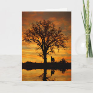 Carte Bonjour belle journée avec Cheval Eau Chêne Arbre