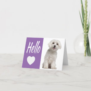 Carte Bonjour Blanc Maltais Chien Chien Chien Violet Coe