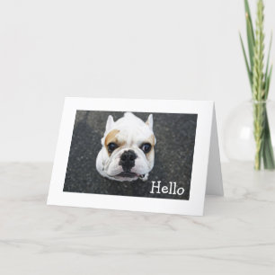 Carte Bonjour Bulldog Greeting Card - Verse