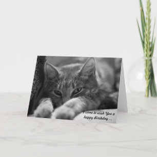 Carte Bonjour ! Ce chat vient souhaiter un joyeux annive