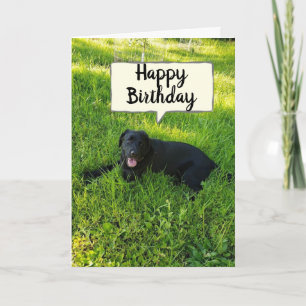 CARTE BONJOUR D'ANNIVERSAIRE BECUZ VOUS "COMPTE" FAV CO-