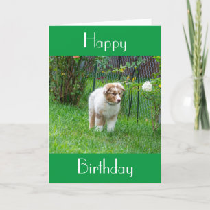 CARTE BONJOUR D'ANNIVERSAIRE COMME PROFITABLE COMME MARC